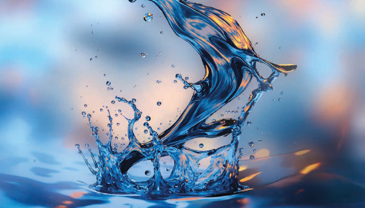 Spectacle Smith & Wesson